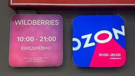 Чем опасен кошелек Wildberries в Рикер