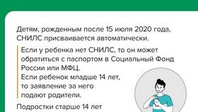 Для чего нужен СНИЛС срочнику в Рикер