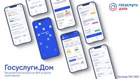 Как бесплатно установить приложение Госуслуги в Рикер
