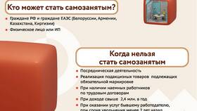 Как официально оформиться самозанятым в Рикер