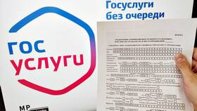 Как оформить иностранного гражданина на работу через Госуслуги в Рикер