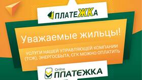 Как Оплатить Организации