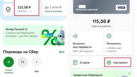 Как проверить карту Сбербанка без доступа к Сбербанк Онлайн в Рикер