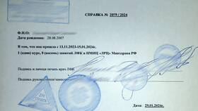 Как проверяют справки о доходах