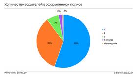 Как сделать ОСАГО онлайн в 2024 году в Рикер