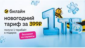 Как увеличить интернет-трафик на Билайн в Рикер