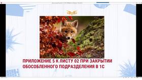 Как заполнять декларацию по прибыли обособленного подразделения в Рикер