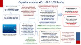 Письмо о том, что ИП применяет УСН в Рикер