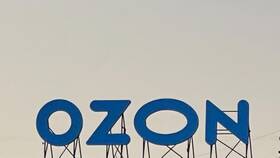 Почему не работает интернет-магазин Ozon сегодня в Рикер