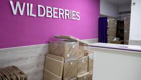 Почему Wildberries ввел платную доставку в Рикер