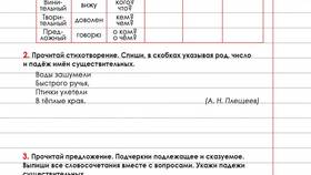 Приставка, предлог, суффикс, окончание, корень: что лишнее