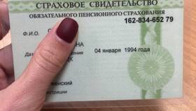 Провалидированный СНИЛС: что это означает в Рикер